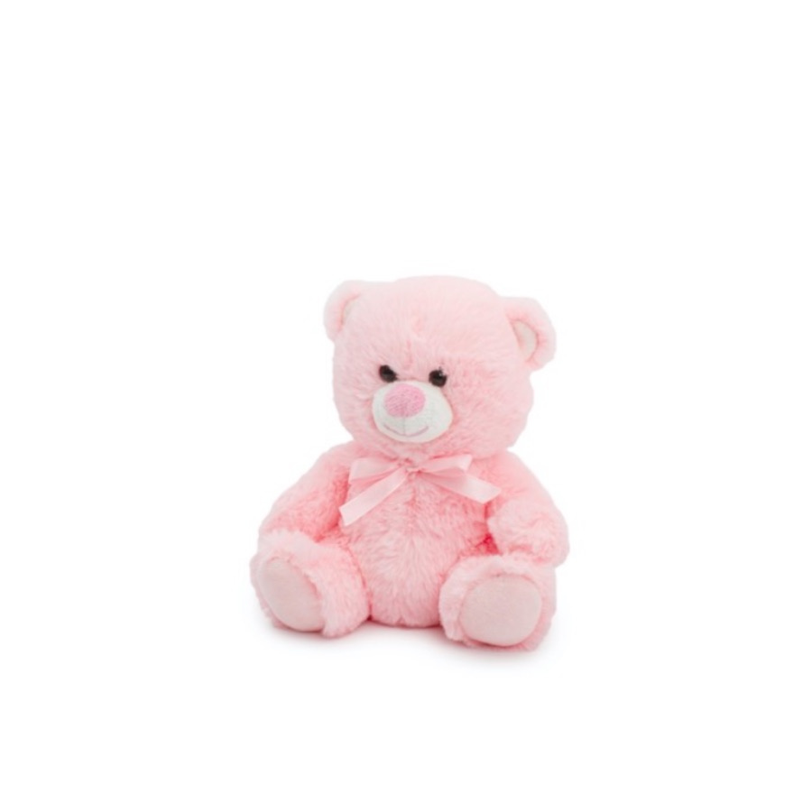 Small pink teddy 2024 bear